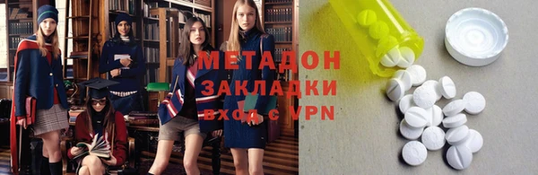 прущие грибы Вязьма