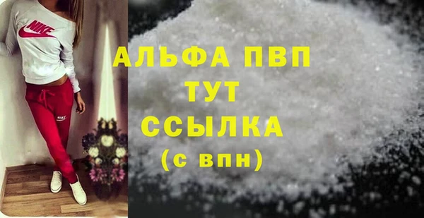 спиды Горняк