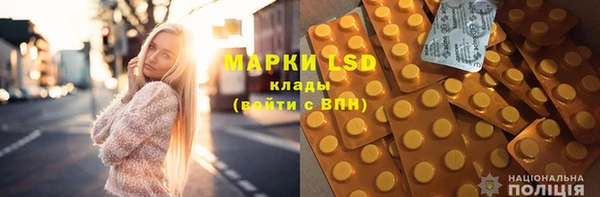 прущие грибы Вязьма