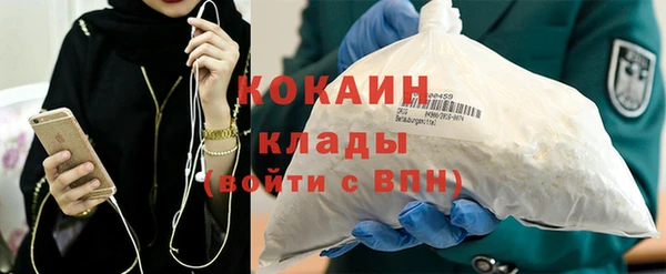прущие грибы Вязьма