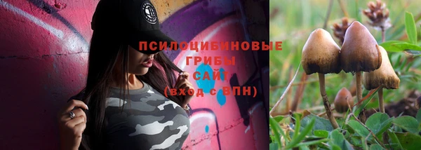 каннабис Вяземский