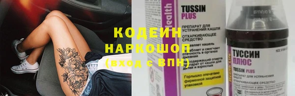 прущие грибы Вязьма