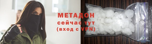 прущие грибы Вязьма