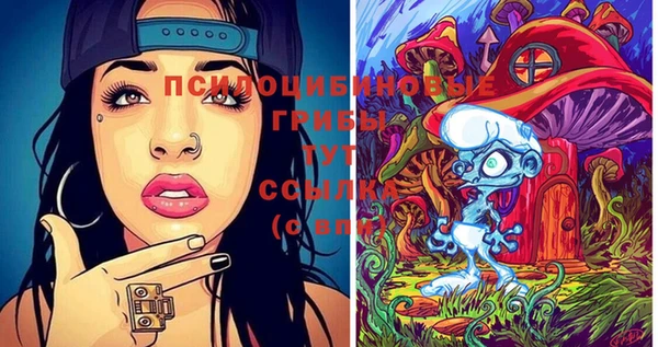 прущие грибы Вязьма